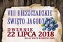 VIII Bieszczadzkie Święto Jagody w Dwerniku