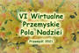 VI Wirtualne Przemyskie Pola Nadziei – 25 kwietnia 2021 r.