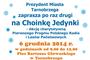 Choinka Jedynki na Podkarpaciu