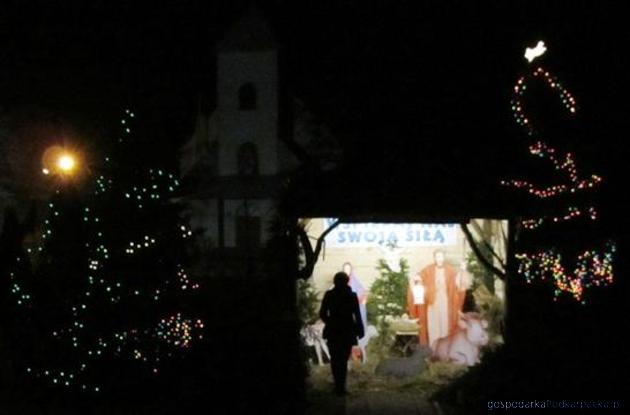 Fot. Wydział Spraw Komunalnych i Środowiska UM Tarnobrzeg