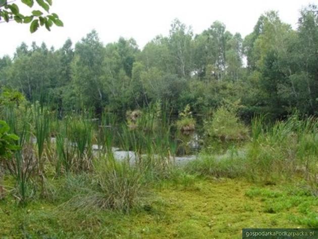 Brodoszurki. Fot. Zarząd Parków Krajobrazowych w Przemyślu, zpkprzemysl.pl