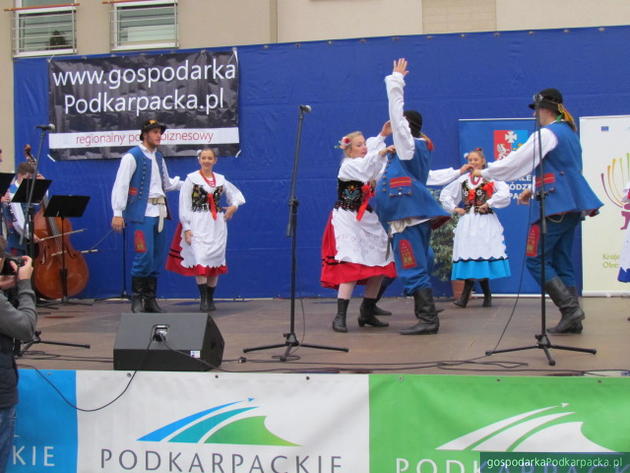 Piknik Produktów Tradycyjnych 2015