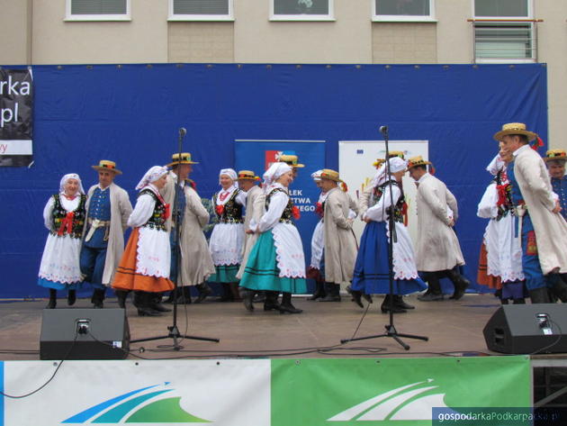 Piknik Produktów Tradycyjnych 2015