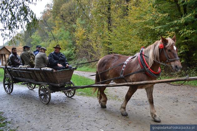 Fot. Agencja Obiektyw