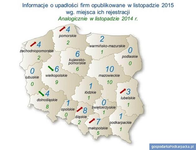 Źródło: Monitor Sądowy i Gospodarczy, dane przeanalizowane przez Euler Hermes z grupy Allianz