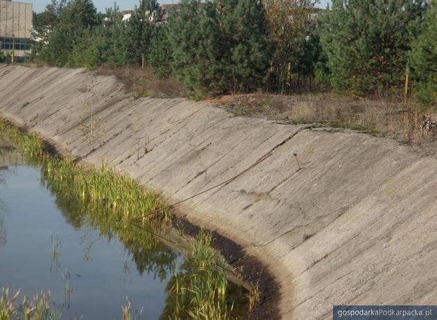 Stawy osoadowe w Stalowej Woli. Fot. Wojewódzki Inspektorat Ochrony Środowiska w Rzeszowie