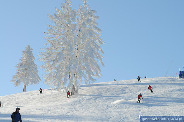 Kiczera w Beskidzie Niskim. Fot. Anna Lewiak, KiczeraSki