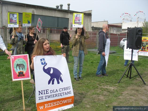 Kolejny protest przed cyrkiem w Rzeszowie