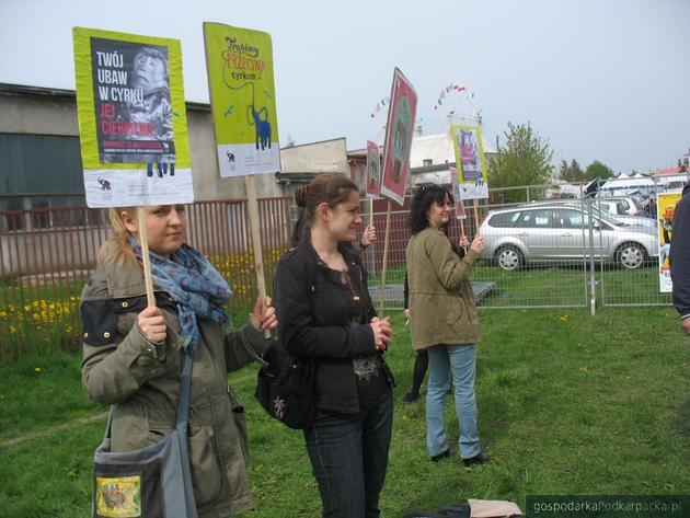 Kolejny protest przed cyrkiem w Rzeszowie