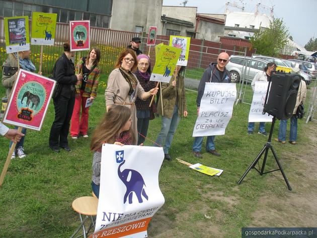 Kolejny protest przed cyrkiem w Rzeszowie