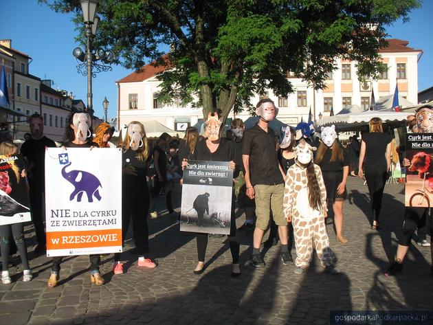 Protest obrońców zwierząt na Rynku