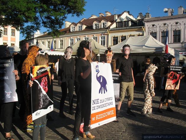 Protest obrońców zwierząt na Rynku