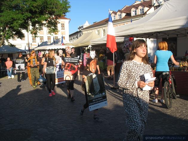 Protest obrońców zwierząt na Rynku