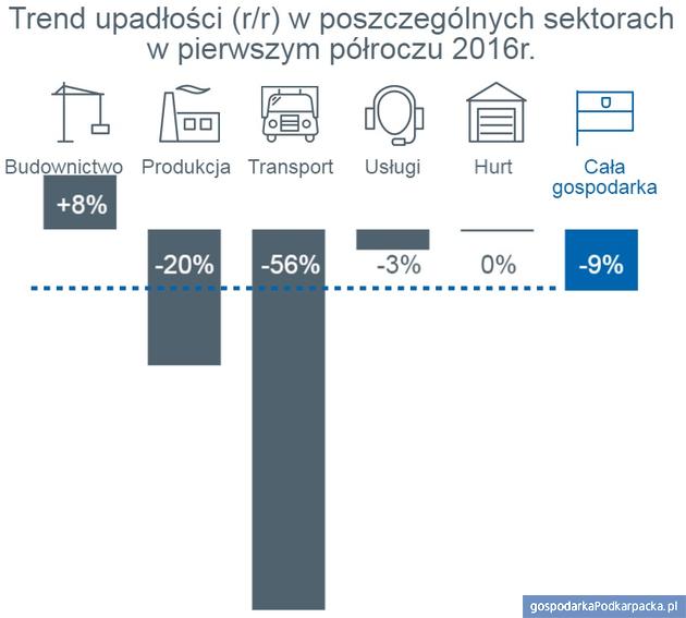 Źródło: Monitor Sądowy i Gospodarczy, dane przeanalizowane przez Euler Hermes z grupy Allianz