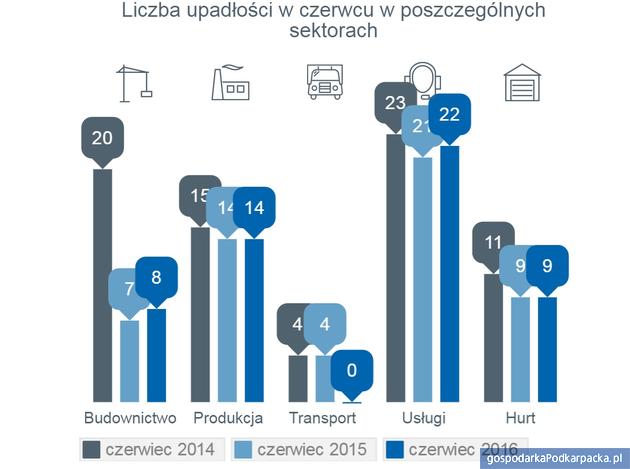 Źródło: Monitor Sądowy i Gospodarczy, dane przeanalizowane przez Euler Hermes z grupy Allianz