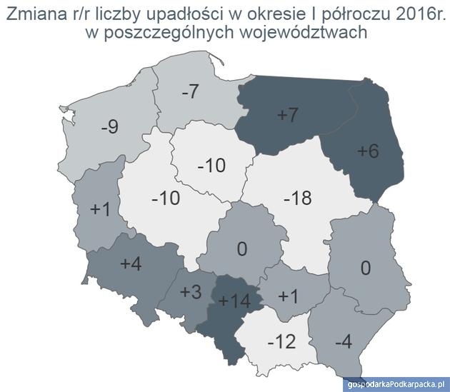 Źródło: Monitor Sądowy i Gospodarczy, dane przeanalizowane przez Euler Hermes z grupy Allianz