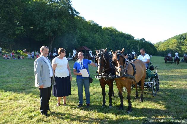 Wystawa bydła i koni w Rudawce Rymanowskiej 2016