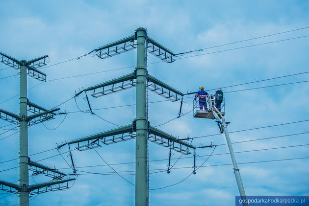 Tauron wygrał przetarg Polskich Sieci Elektroenergetycznych