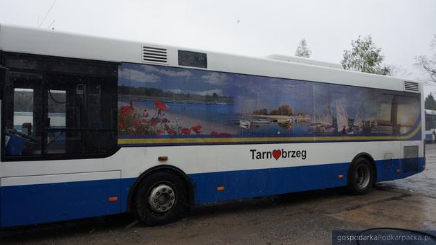 Nad Jezioro Tarnobrzeskie kursował będzie autobus 