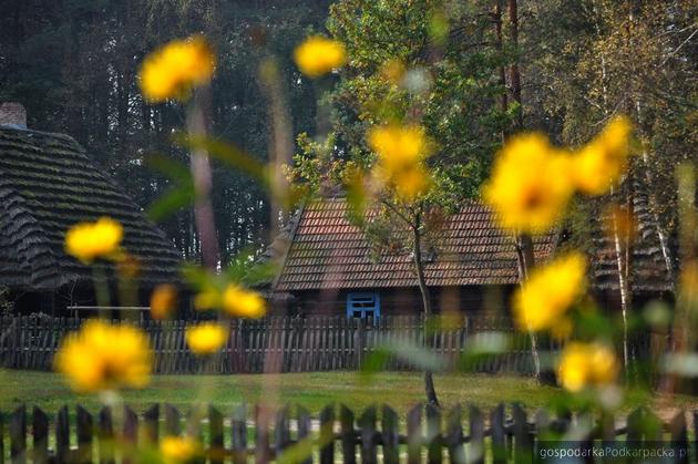 Skansen w Kolbuszowej za pół ceny