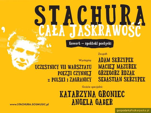 „Stachuriada – Cała jaskrawość” z Katarzyną Groniec