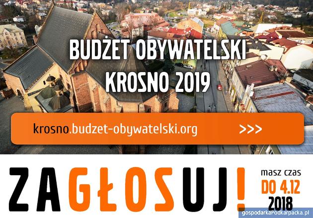 Budżet obywatelski Krosna na 2019 r. - głosowanie już trwa