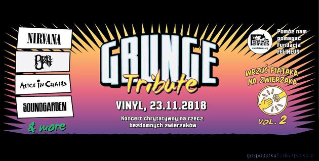 Koncert w stylu grunge w Rzeszowie: „Wrzuć piątaka na zwierzaka”