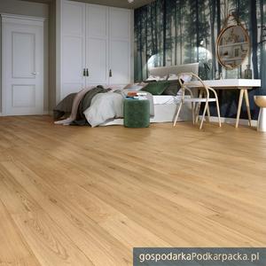 Dąb Classic w ofercie Baltic Wood 