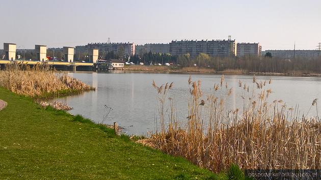 Wisłok na początku kwietnia 2019 r. Fot. Andrzej Baran