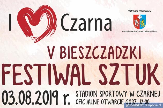 V Bieszczadzki Festiwal Sztuk