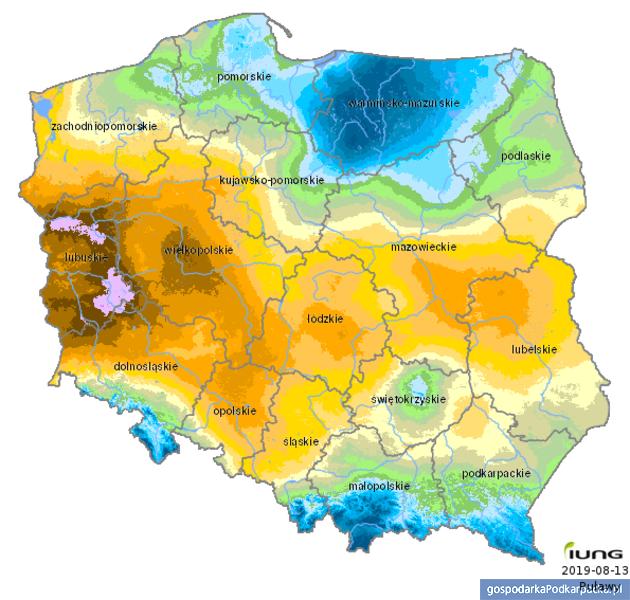 Suszy w Polsce 2019. Podkarpackie na tle kraju