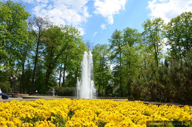 Park miejski w Jaśle. Fot. Centrum Informacji Turystycznej i Kulturalnej w Jaśle