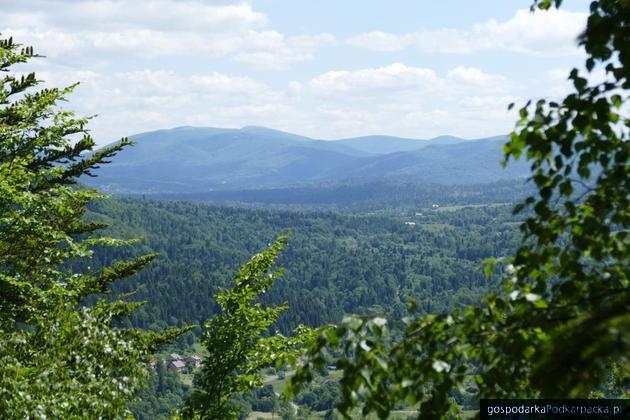 „Porta Rusica. Z Połonin w Bieszczady”. Otwarto oferty w drugim przetargu