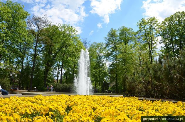 Fot. Centrum Informacji Turystycznej i Kulturalnej w Jaśle