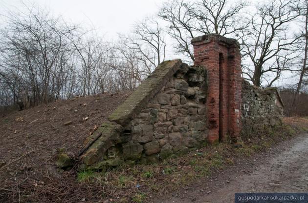 fot. Związek Gmin Fortecznych Twierdzy Przemyśl