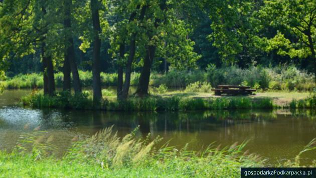 Kłopoty z wyborem wykonawców kolejnego etapu rewitalizacji gminy Głogów Młp.