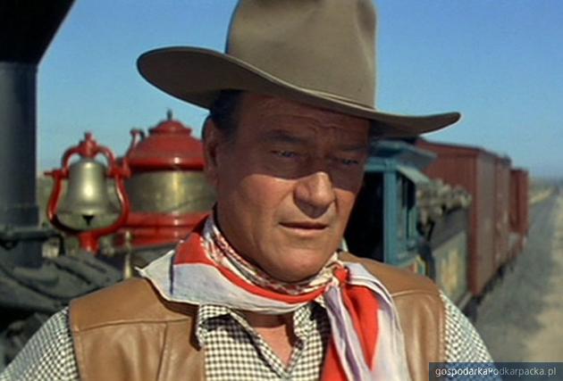 John Wayne. Fot. Pixabay/CC0