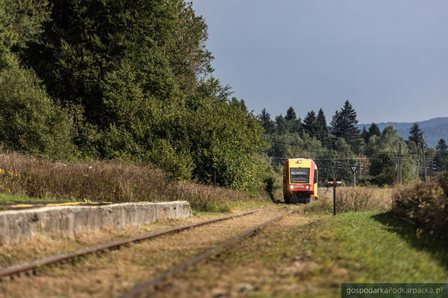 Fot. podkarpackie.pl