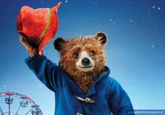 W programie projekcja filmu Paddington 2. Fot. materiały prasowe