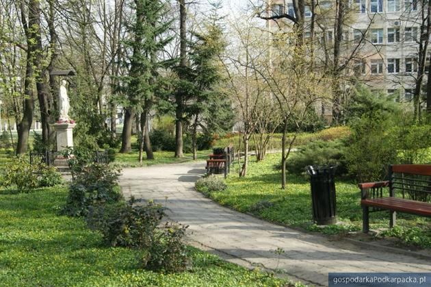 Park przy ul. Rycerskiej znów będzie rewitalizowany?