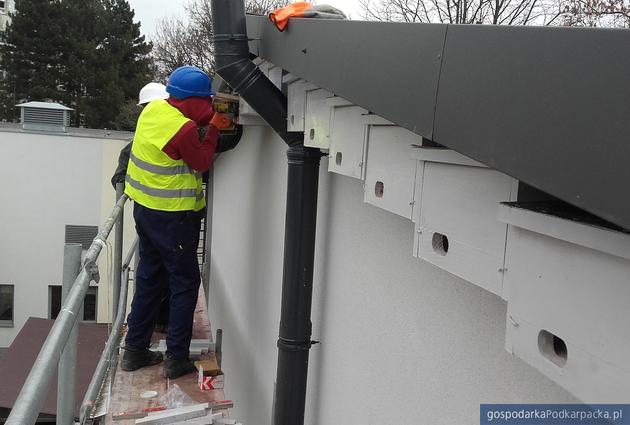 Rzeszowski MZBM powiesi jeszcze więcej budek dla jerzyków