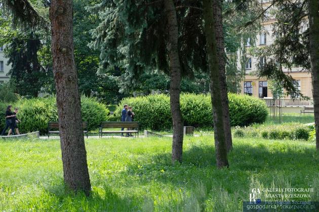 Park Inwalidów Wojennych. Fot. Bogdan Szczupaj