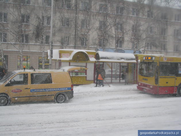 Odśnieżanie przystanków. Fot. Adam Cyło