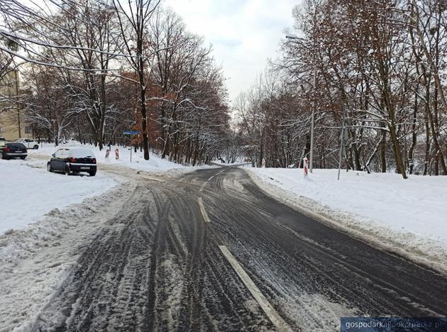 Fot. um.tarnobrzeg.pl