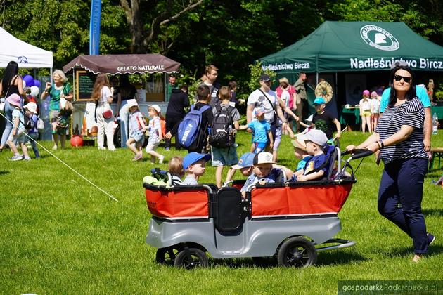 Piknik z okazji Dnia Dziecko 2023 na Bulwarach w Rzeszowie