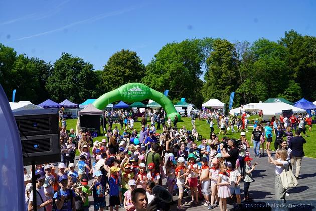 Piknik z okazji Dnia Dziecko 2023 na Bulwarach w Rzeszowie