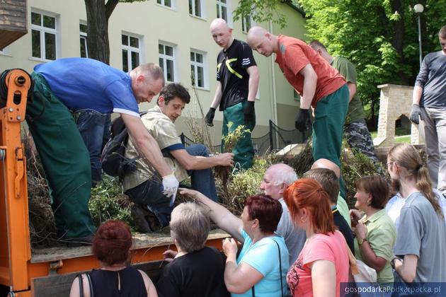 Drzewko dla Sanoczan w roku 2013. Fot. Agnieszka Frączek