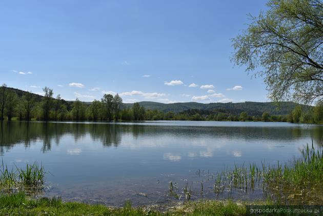 Jest pomysł na zagospodarowanie stawów w Hłomczy 