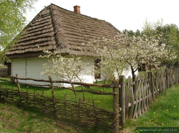 Skansen w Kolbuszowej. Fot. MKL