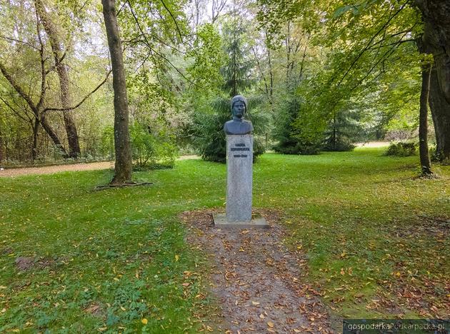 Popiersie Marii Konopnickiej w żarnowieckim parku. Fot. Muzeum im. M. Konopnickiej w Żarnowcu